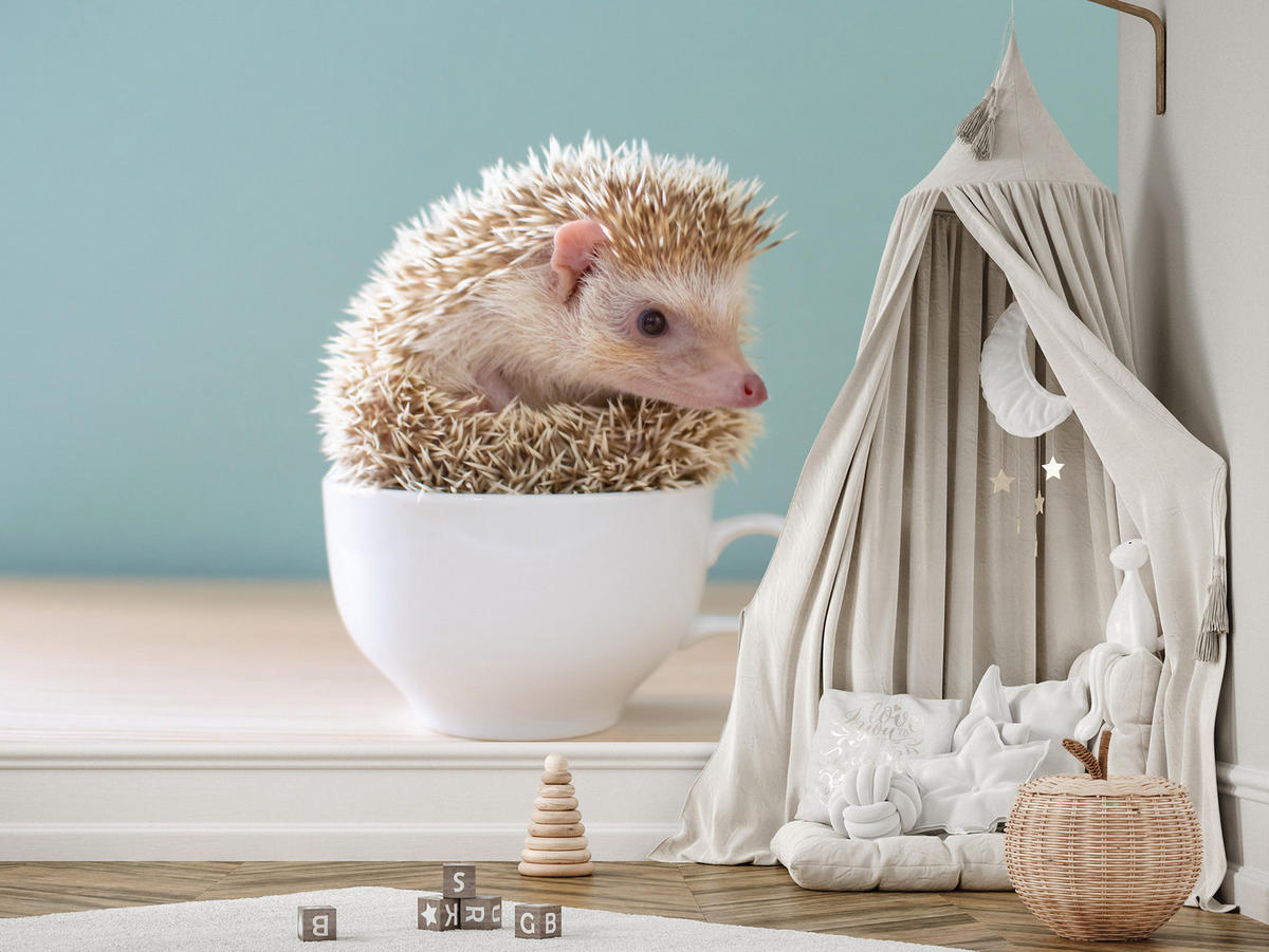 FOTOTAPETE für Esszimmer Igel Weiße Tasse Süß Tier 250x175 - Beige/Weiß, Papier (250/175cm) - Muralo