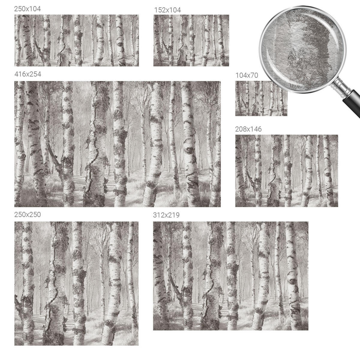 FOTOTAPETE 104x70 cm - Birkenwald - Schwarz, Textil (104/70cm) - Wallfluent