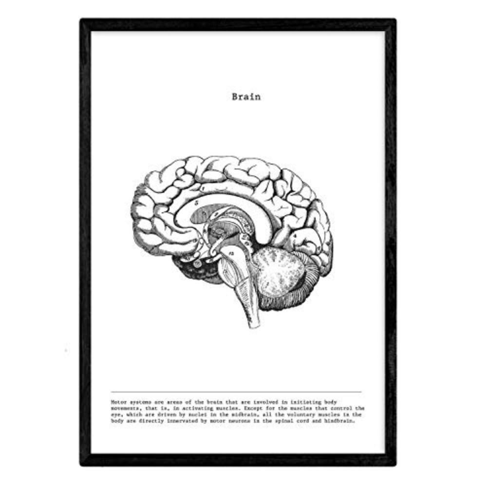 Nacnic Poster Schwarz 29.7x5x21 cm