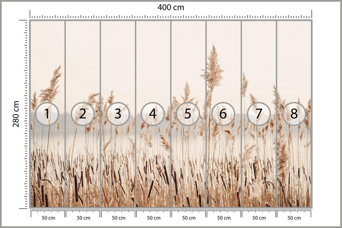 FOTOTAPETE für Wohnzimmer Pflanzen Natur 400x280 - Beige/Braun, Papier (400/280cm) - Muralo