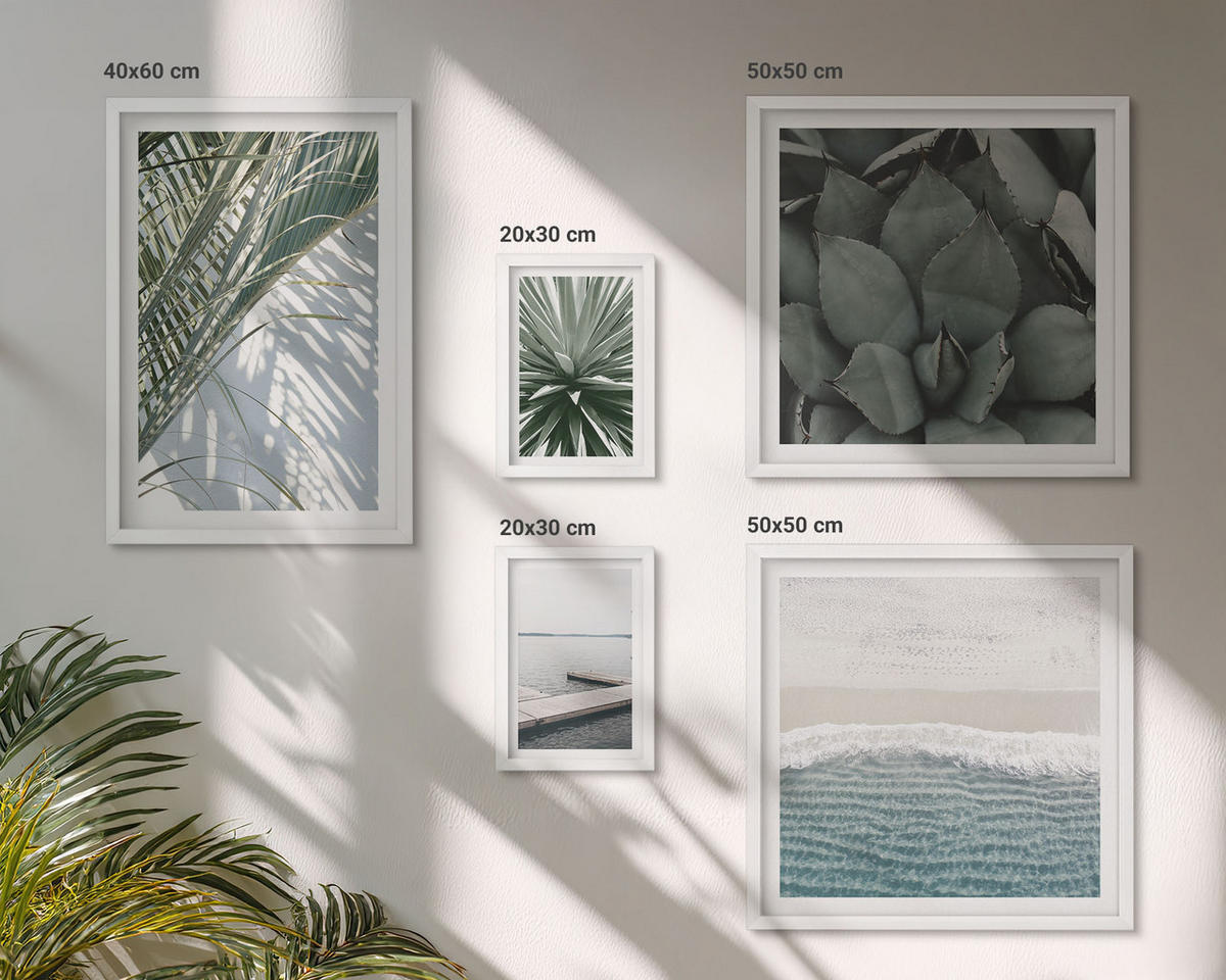 WANDBILDER 5er-Set - 50x50 cm & 20x30 cm & 40x60 cm Weißer Rahmen - Hängebrücke aus Palmenblättern - Weiß, Kunststoff (40/60cm) - ArtPrintCave