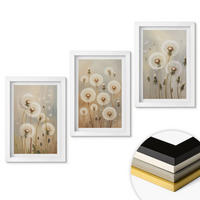 WANDBILDER 3er-Set - 20x30 cm Weißer Rahmen - Weiße Löwenzahnblüten auf hellem Hintergrund - Weiß, Kunststoff (20/30cm) - ArtPrintCave