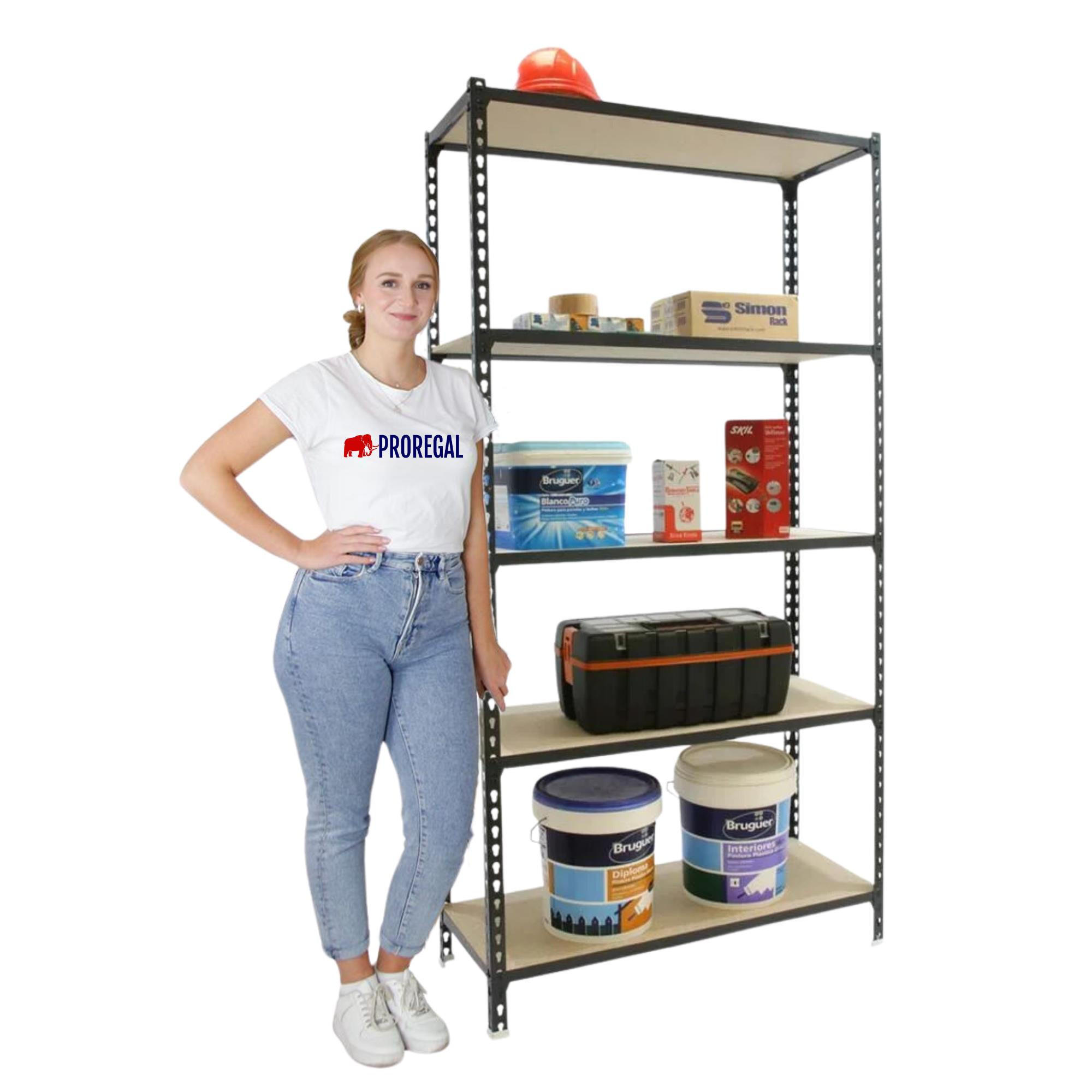 SCHWERLASTREGAL Big Muli HxBxT 200 x 120 x 30 cm 5 Fachböden Fachlast 200 kg Anthrazit - Anthrazit, Metall (120/200/30cm) - PROREGAL