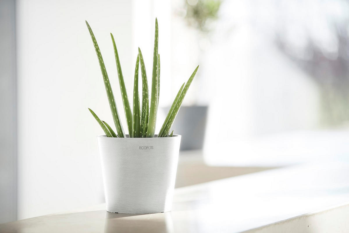 BLUMENTOPF Amsterdam 17/14,7 cm Weiß - Weiß, Kunststoff (17/14.7cm) - Ecopots