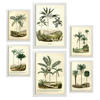 POSTER Set Mit 6 Palmen In Vintage A3 & A4 Weißer Rahmen - Weiß, Papier (29/3cm) - Nacnic