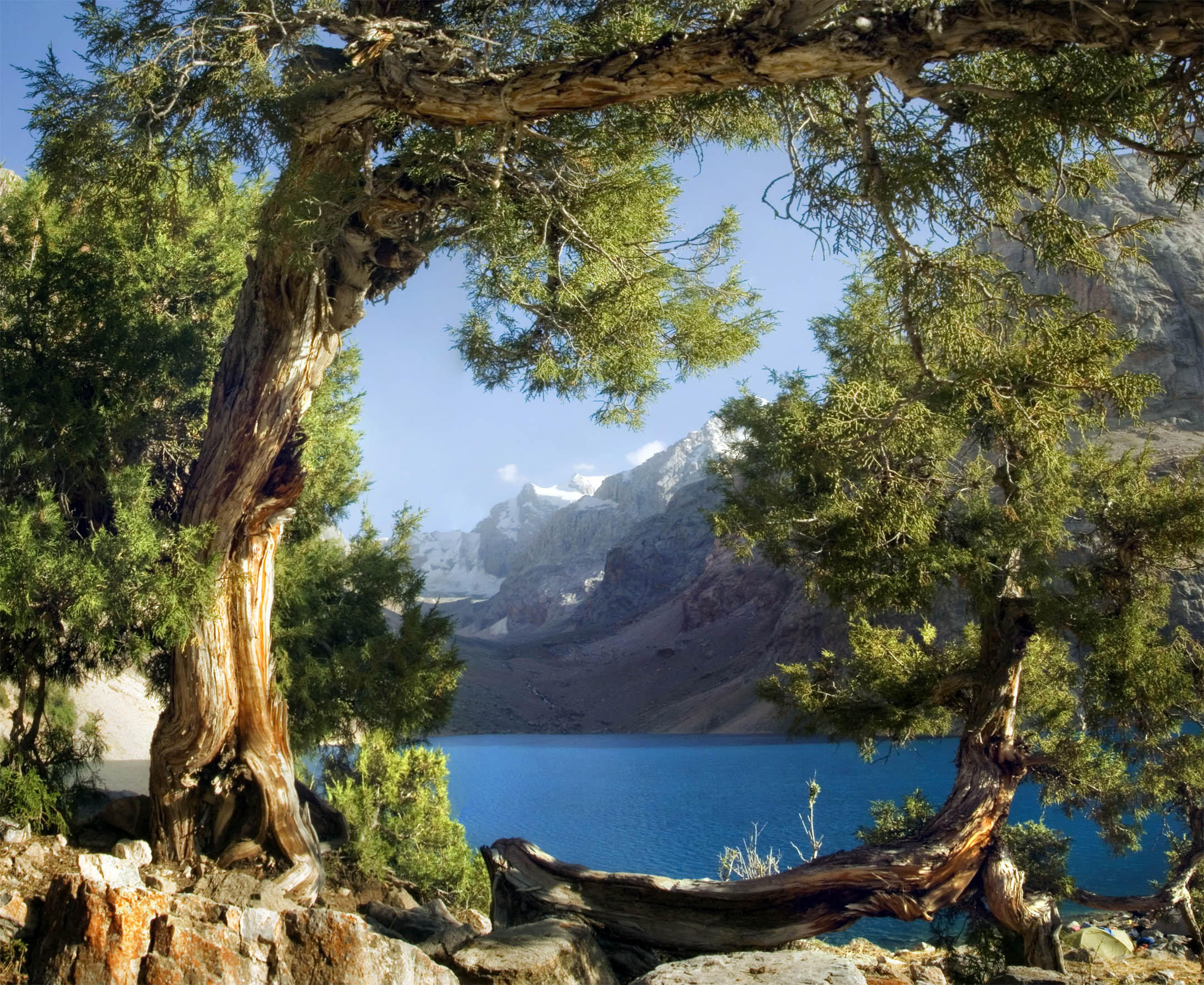 FOTOTAPETE Berglandschaft 375 x 270 cm - Grün, Papier (375/270cm) - Sanders & Sanders