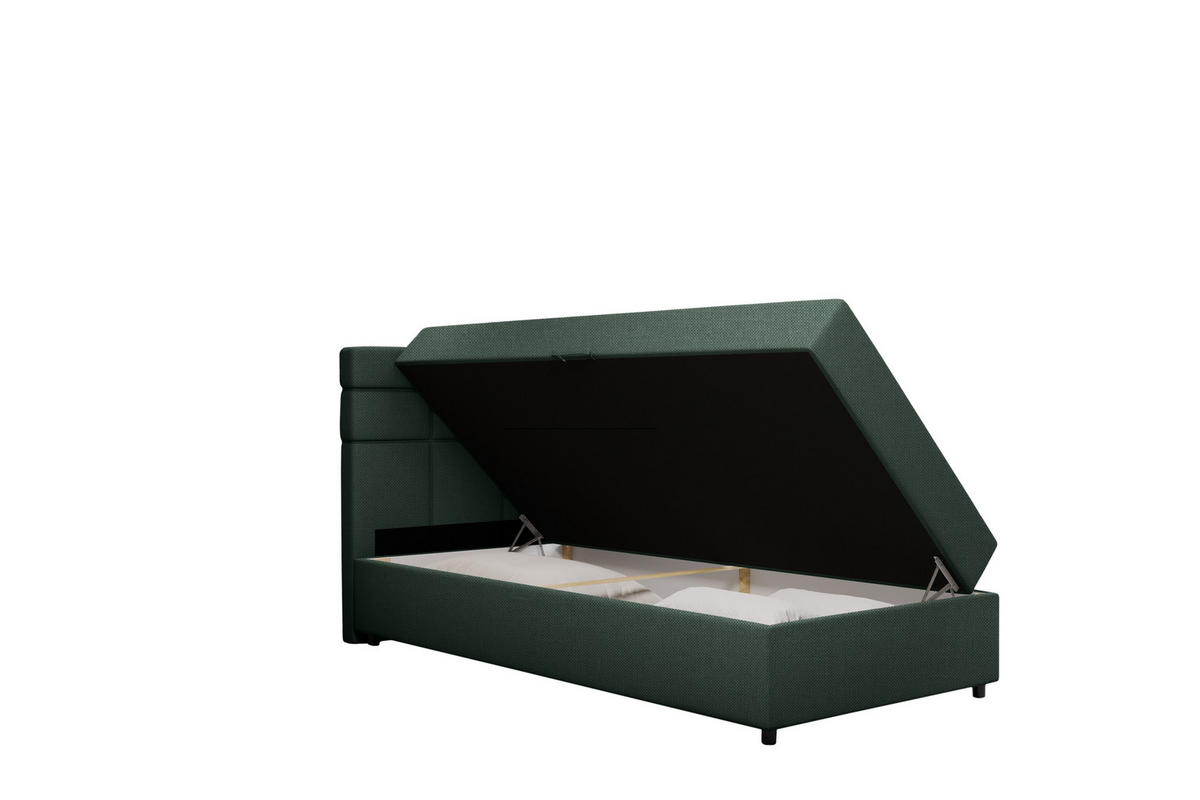 BOXBETT Reve 100 x 200 cm mit Bettkasten und Lattenrost ohne matratze - dunkelgrün - Dunkelgrau, Holz (100/206cm) - Panda Möbel