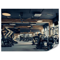 FOTOTAPETE Modernes Fitnessstudio Trainingsgeräte Sport 300x210 - Schwarz/Braun, Papier (300/210cm) - Muralo