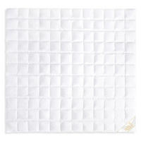 SOMMERBETTDECKE GOLDIE Gänsedaunen leicht - Weiß, Naturmaterialien/Textil (240/220cm) - Goldmarie 