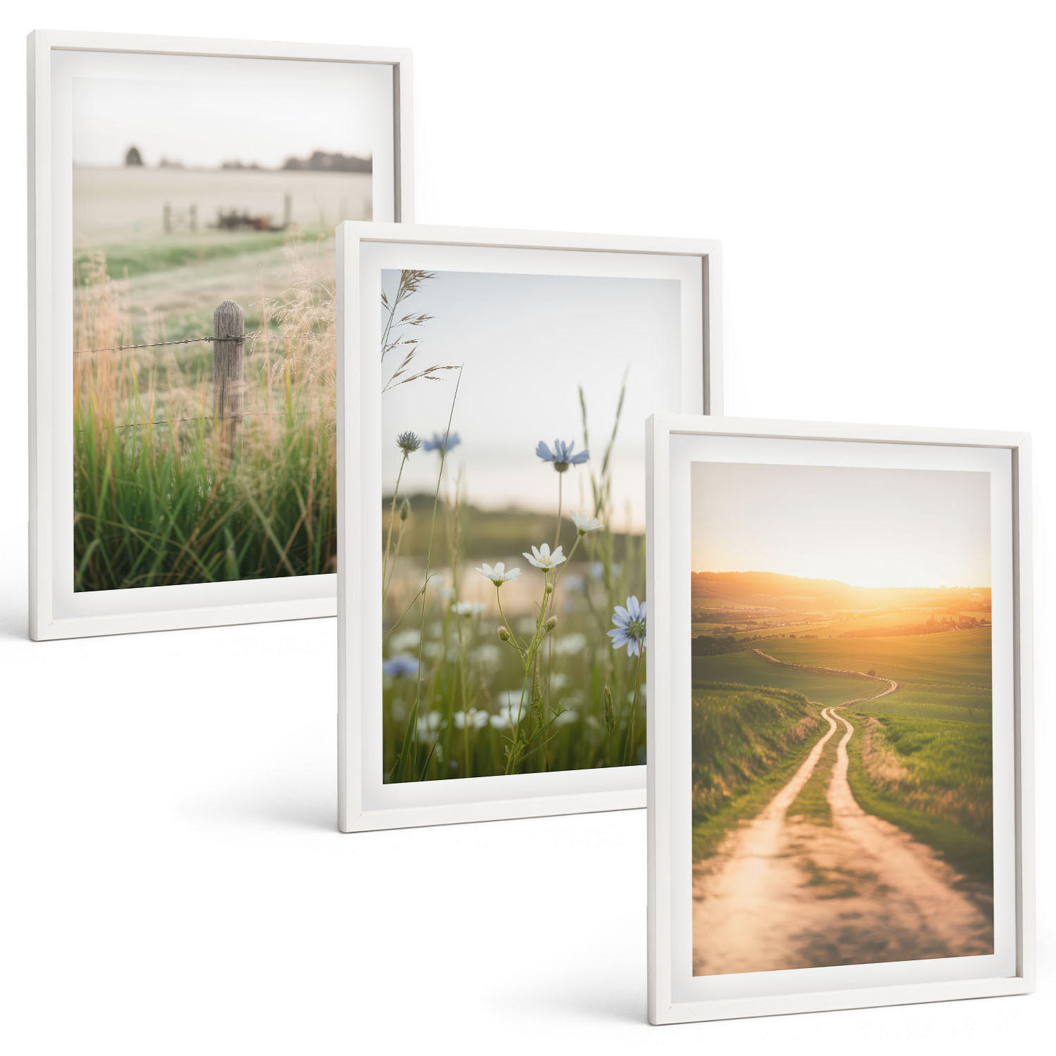 BILDER SET 3er Set - 40x60 cm Weißer Rahmen - Landschaften Natur Felder Weg - Weiß, Kunststoff (40/60cm) - TULUP