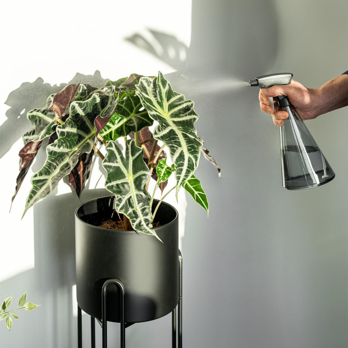 BLUMENHOCKER 2er-Set, schwarz, Metall - Schwarz, Metall (20.7/20.7/74.7cm) - bremermann