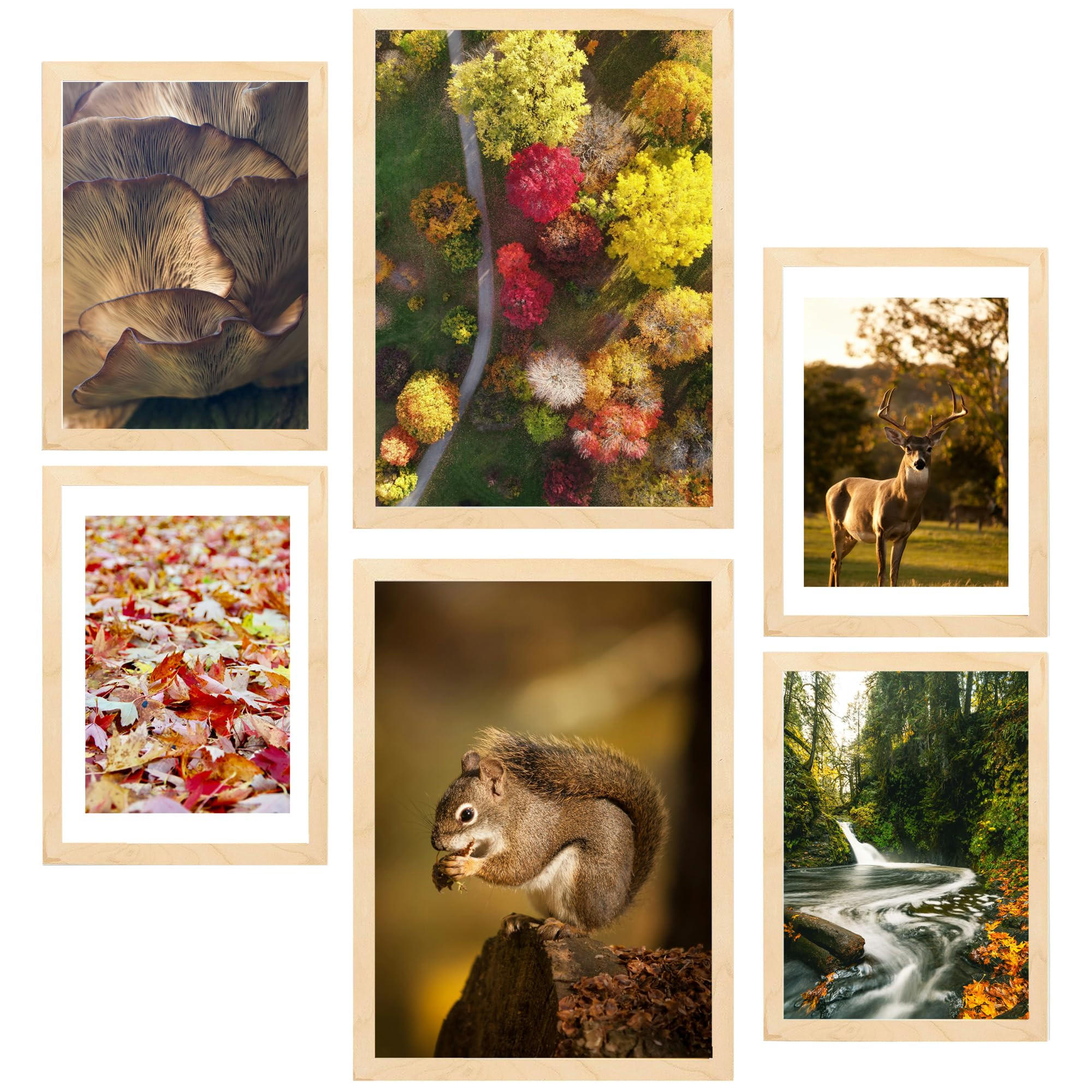 Nacnic Poster Beige 29x3 cm