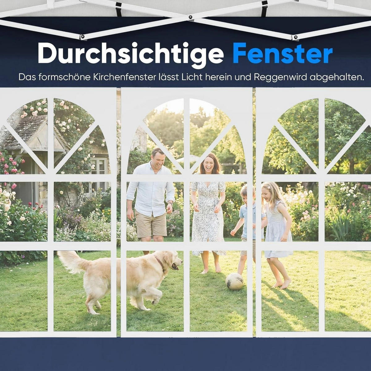 FALTPAVILLON 3x6m Blau mit Seitenwänden - Blau, Textil (585/310/293cm)