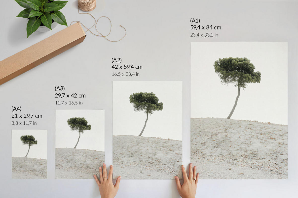 POSTER - 42x59 cm - X-Mario - Einsamer Baum - Weiß, Textil (42/59/0.1cm) - TULUP