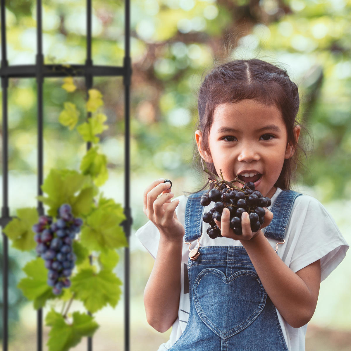 2XRANKHILFE - Schwarz, Kunststoff/Metall (30/188/30cm) - Relaxdays