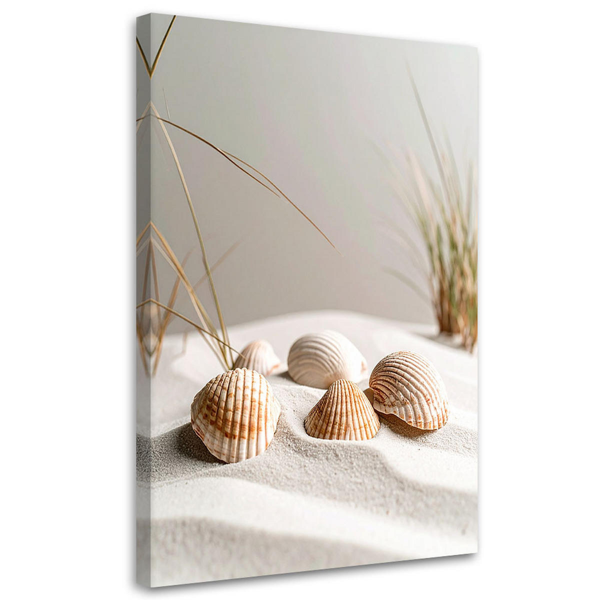 LEINWANDBILD Muscheln Strand Pflanzen Natur beige 70x100cm - Beige, Textil (70/100cm) - Feeby