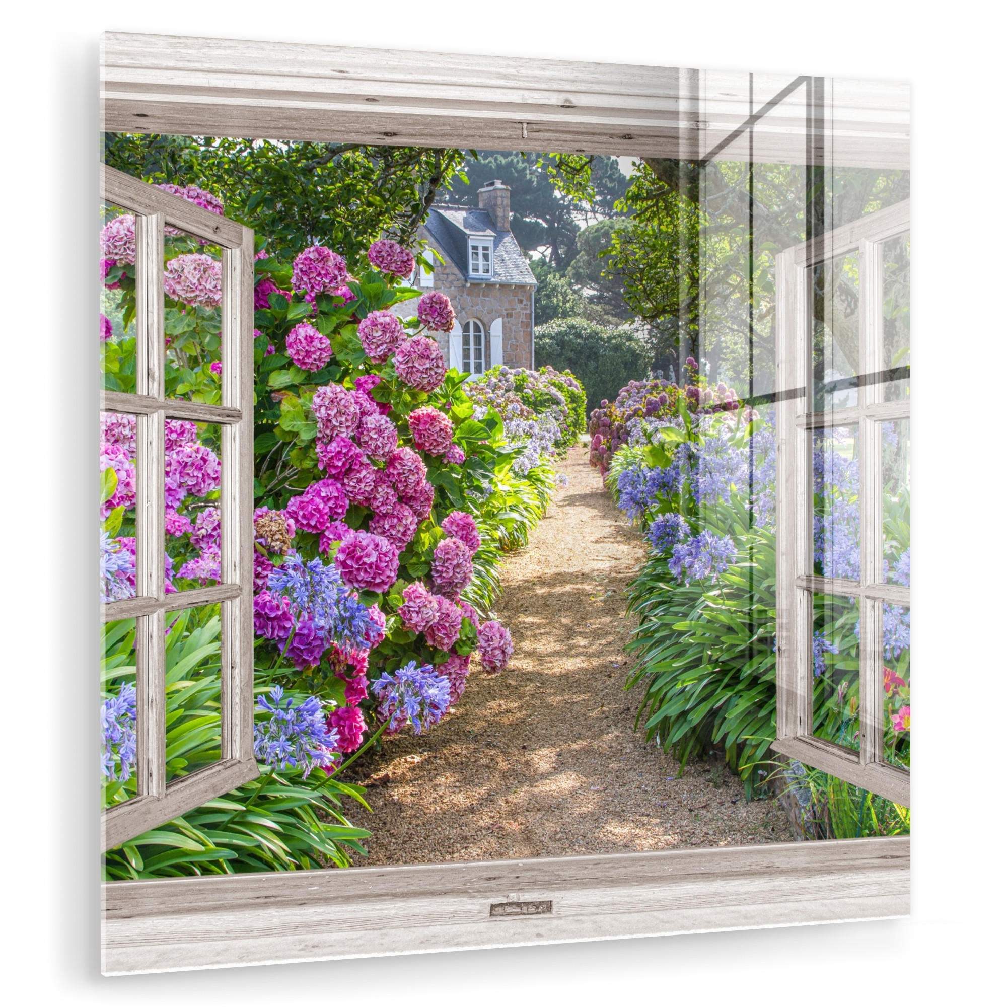 ACRYLGLASBILD Hortensie - Durchsichtig - Blumen - Sommer - Lila - Weg 50x50 cm - Lila, Glas (50/50cm) - MuchoWow