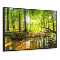 LEINWAND Bilder mit Rahmen - Wald - Landschaft - Wasser - Bäume - Sonne - Grün - Natur - 120x80 - Grün, Textil (120/80cm) - MuchoWow