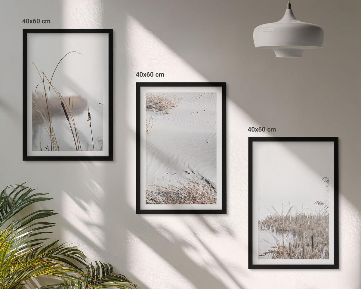 WANDBILDER 3er-Set - 40x60 cm Schwarzer Rahmen - Wasserpflanzen im Sommer - Schwarz, Kunststoff (40/60cm) - ArtPrintCave