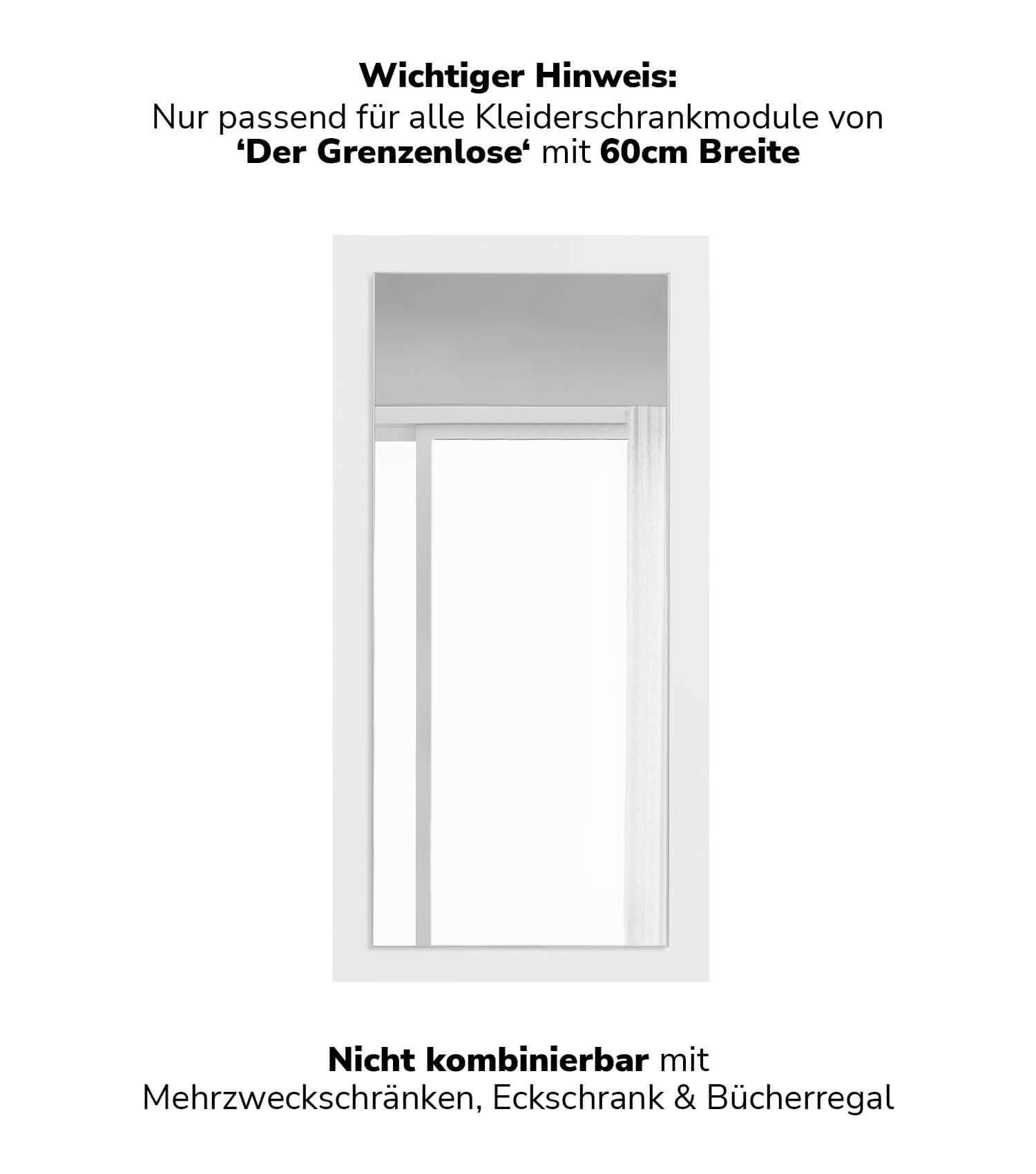 SCHRANKTÜR mit Spiegel Die Verspiegelte - Weiß, Holzwerkstoff (56/112/1.5cm) - Mokebo