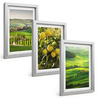 BILDER SET 3er Set - 20x30 cm Silberner Rahmen - Italienische Zitrusfrüchte und Hügel - Silberfarben, Kunststoff (20/30cm) - TULUP
