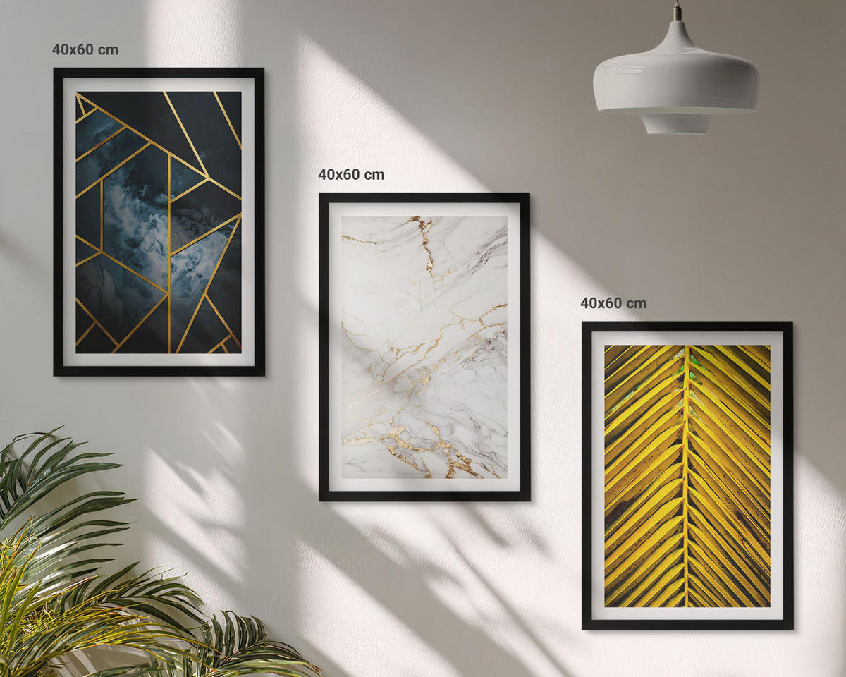 BILDER SET 3er Set - 40x60 cm Schwarzer Rahmen - Geometrische Muster und Vegetation - Schwarz, Kunststoff (40/60cm) - TULUP