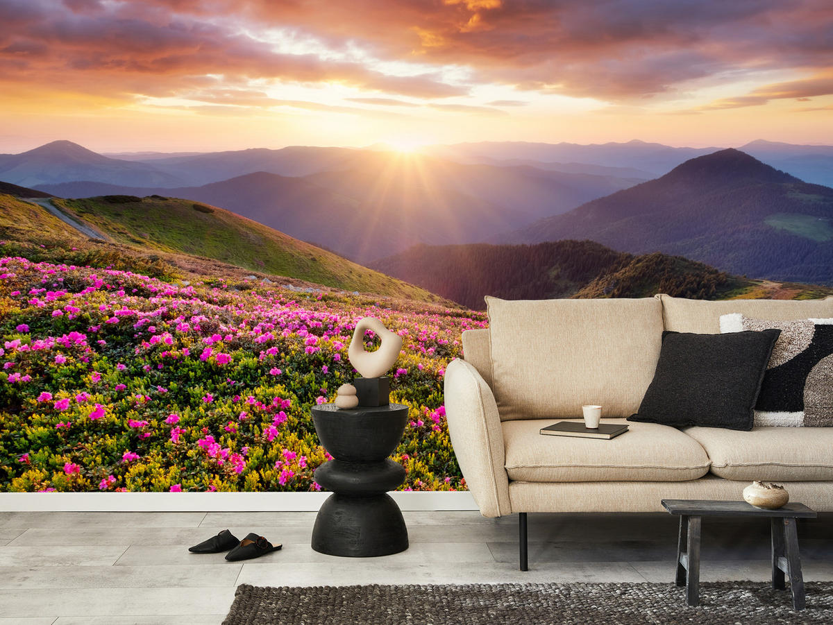 FOTOTAPETE für Wohnzimmer Sonnenuntergang Berge Wiese Blumen 450x315 - Violett/Rosa, Papier (450/315cm) - Muralo