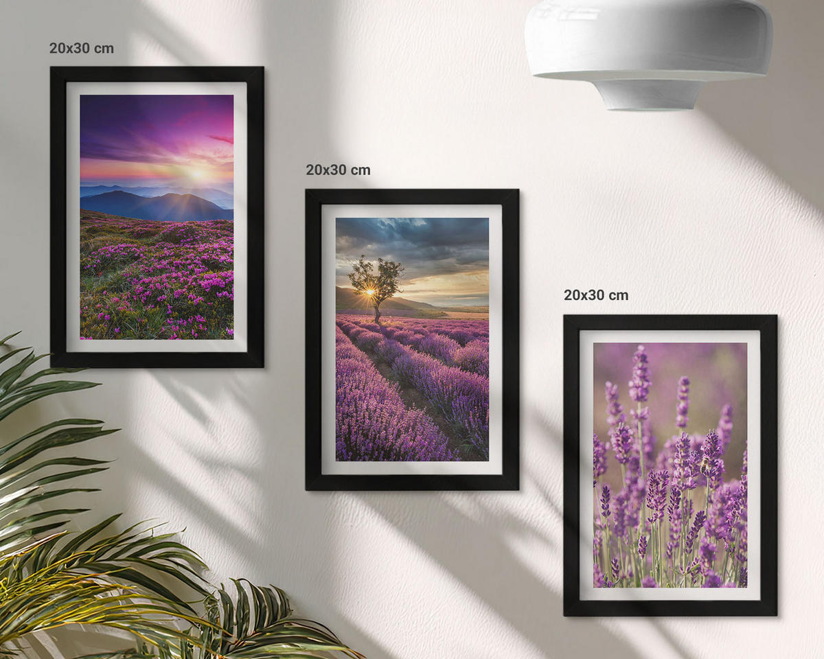 BILDER SET 3er Set - 20x30 cm Schwarzer Rahmen - Sonnenuntergang auf Lavendelfeldern - Schwarz, Kunststoff (20/30cm) - TULUP