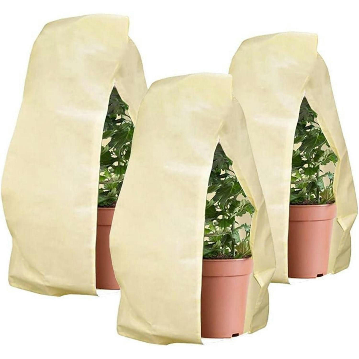 XXXLutz Pflanzenschutzhaube Beige 10x5x15 cm