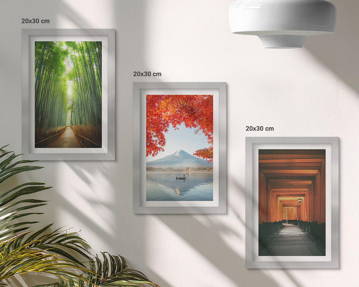 BILDER SET 3er Set - 20x30 cm Silberner Rahmen - Fuji-Bambuswaldlandschaft - Silberfarben, Kunststoff (20/30cm) - TULUP