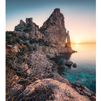 FOTOTAPETE Sardinien 250 x 280 cm - Beige, Papier (250/280cm) - Sanders & Sanders