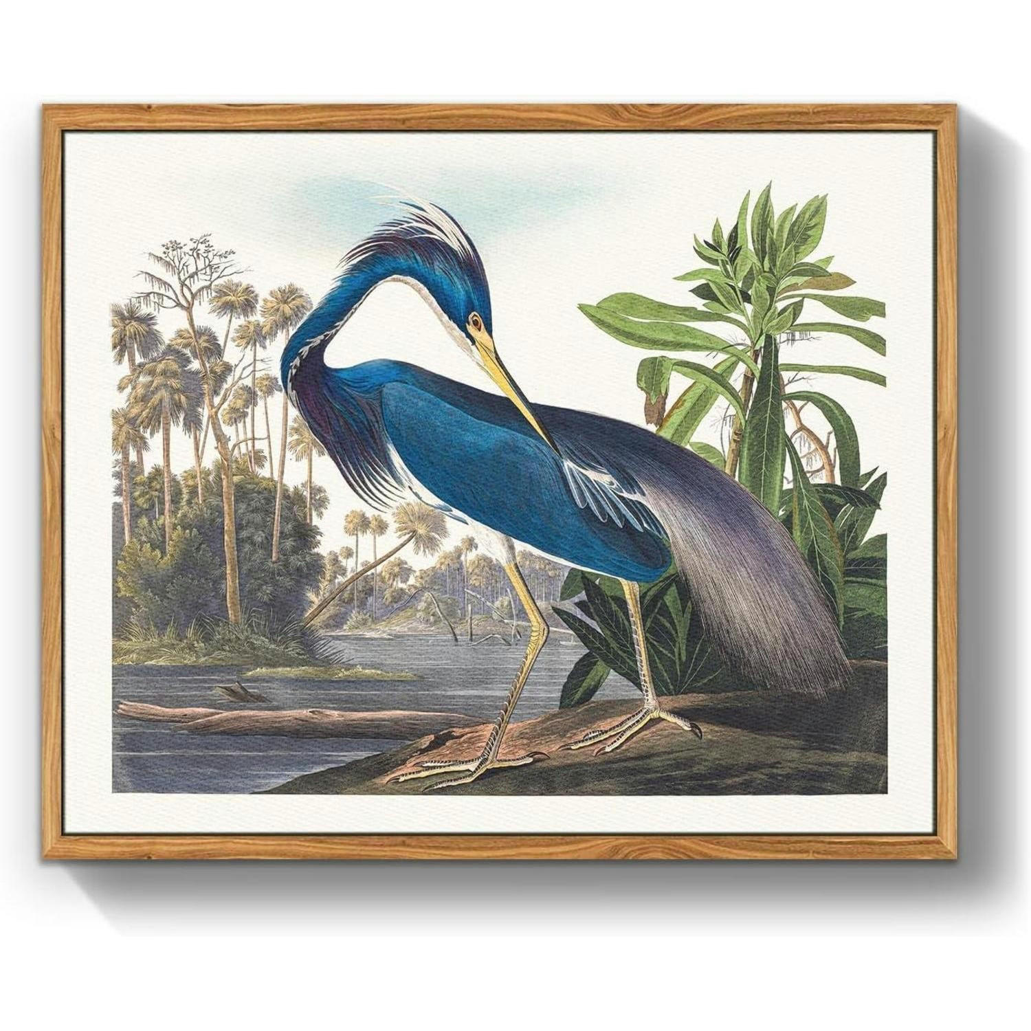 LEINWANDBILD mit Rahmen Vogelmotiv 30 x 40 cm - Blau, Holz (30/0.5cm)