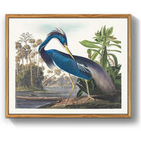 LEINWANDBILD mit Rahmen Vogelmotiv 30 x 40 cm - Blau, Holz (30/0.5cm)