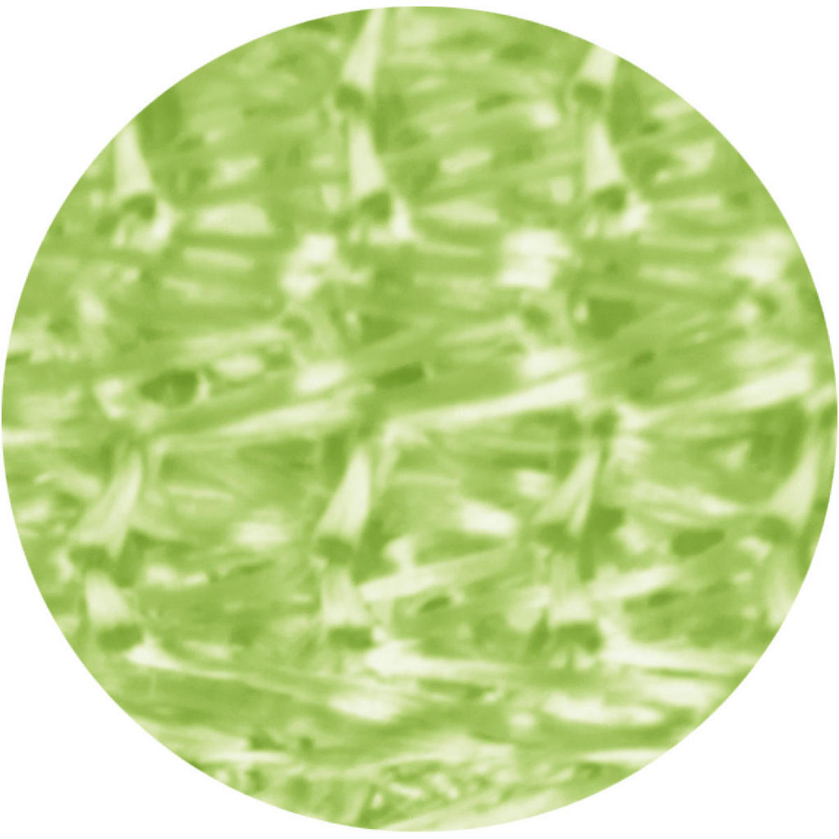 FADENVORHANG 90 cm x 240 cm Fadengardine (Mint) Ideal als Insektenschutz oder Raumteiler - Mintgrün, Textil (90/240cm) - Bestlivings