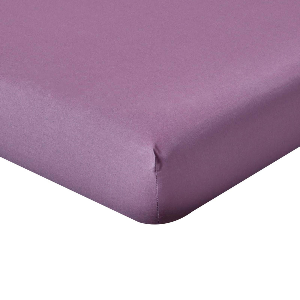 PERKAL-SPANNBETTLAKEN, Ägyptische Baumwolle, Fadendichte 200 - Lila, Textil (150/200cm) - Homescapes