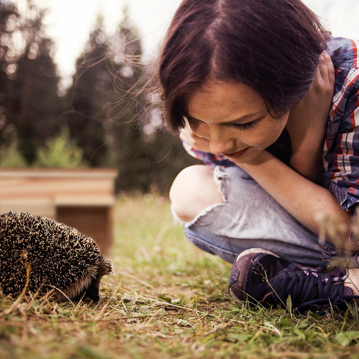 IGELHAUS - Hellbraun, Holz (40/21/30cm) - Relaxdays