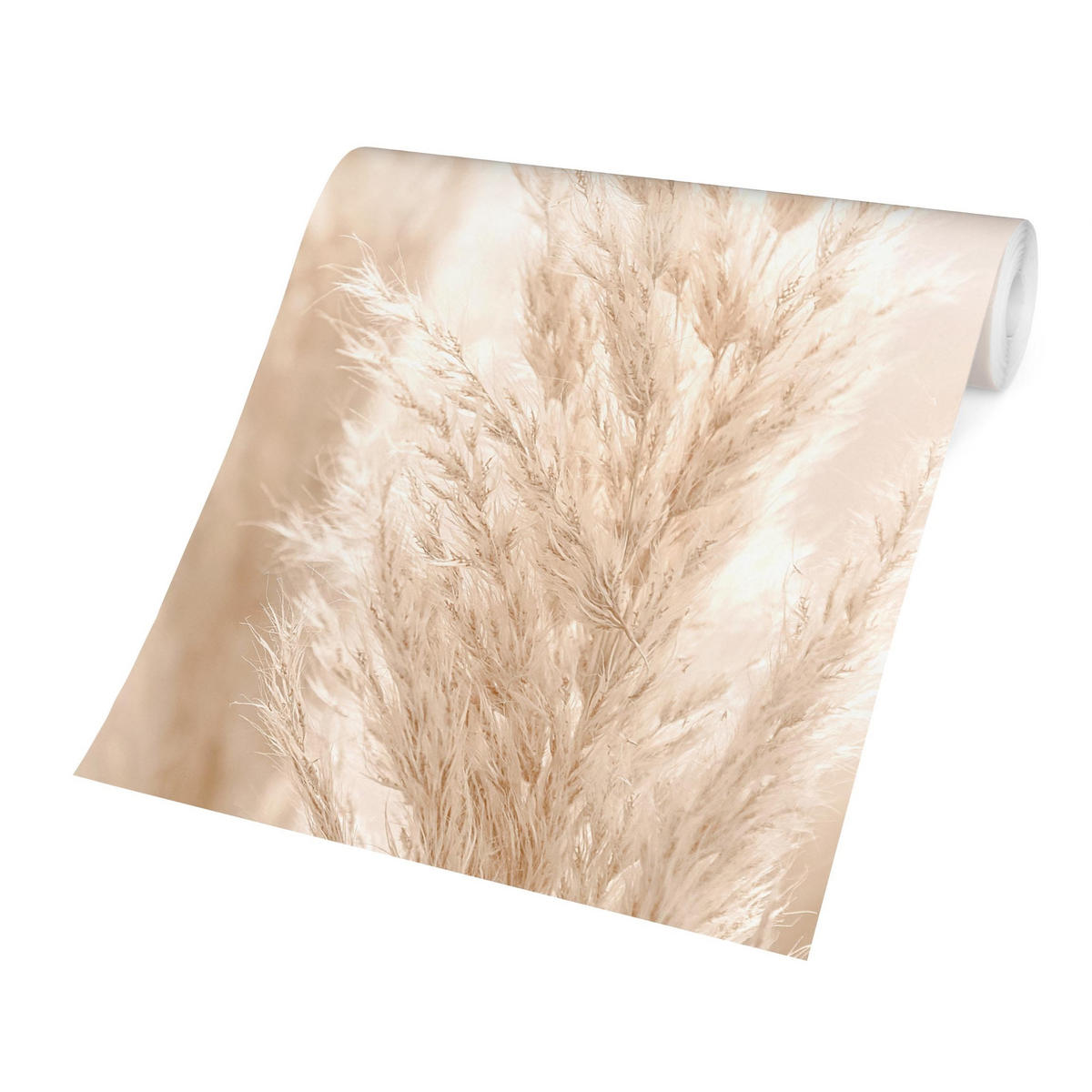 FOTOTAPETE Pampasgras im Sonnenlicht 288/288 cm - Eichefarben, Papier (288/288cm) - Bilderwelten