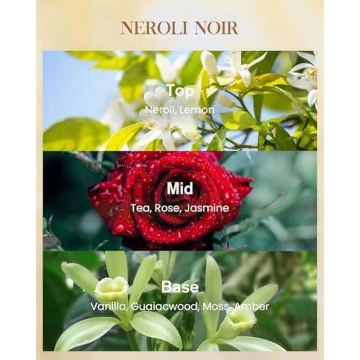 DUFTKERZE Neroli Noir Sojawachs 400g 75h Brenndauer - Multicolor, Glas (8cm)