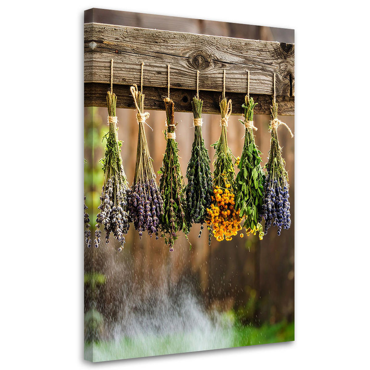 LEINWANDBILD Kräuter Gewürze Pflanzen 80x120cm - Multicolor, Textil (80/120cm) - Feeby