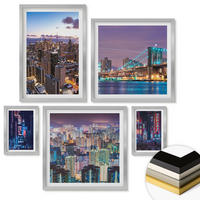 WANDBILDER 5er Set - 50x50 cm & 20x30 cm & 40x60 cm Silberner Rahmen - Bergblumen Himmelsweg - Silberfarben, Kunststoff (40/60cm) - ArtPrintCave