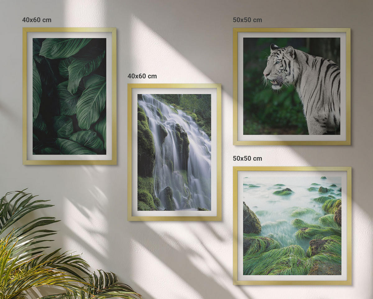 WANDBILDER 4er Set - 50x50 cm & 40x60 cm Goldrahmen - Blätter des Weißen Tigerwasserfalls - Goldfarben, Kunststoff (50/50cm) - ArtPrintCave