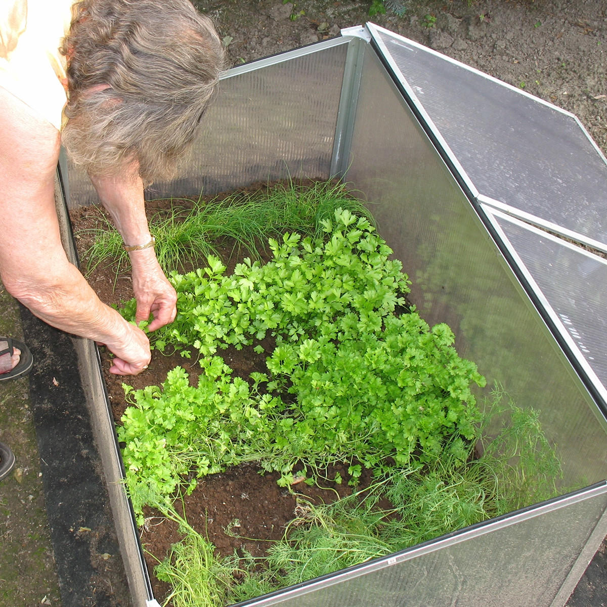 FRÜHBEET - Transparent, Metall (60/40/100cm) - ECD-Germany