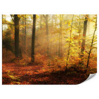 FOTOTAPETE für Wohnzimmer Herbstnebel Laubwald Bäume 350x256 - Gelb/Rot, Papier (350/256cm) - Muralo