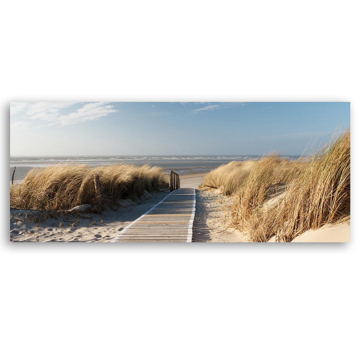WANDBILD stranddünen am meer - Beige, Textil (90/30cm) - Feeby