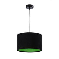 HÄNGELEUCHTE Grün 30/20 cm - Schwarz/Grün, Kunststoff (30/0.45/20cm) - ONZENO