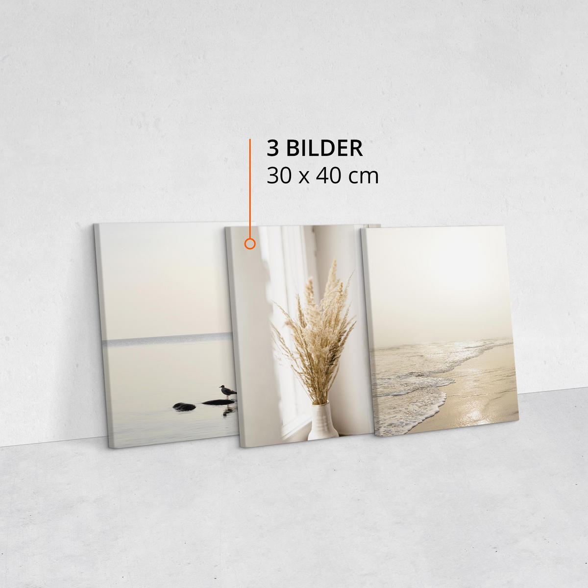 LEINWANDBILDER 3-er Set Meer Pflanzen 3D - Beige/Weiß, Textil (90/40cm) - Muralo