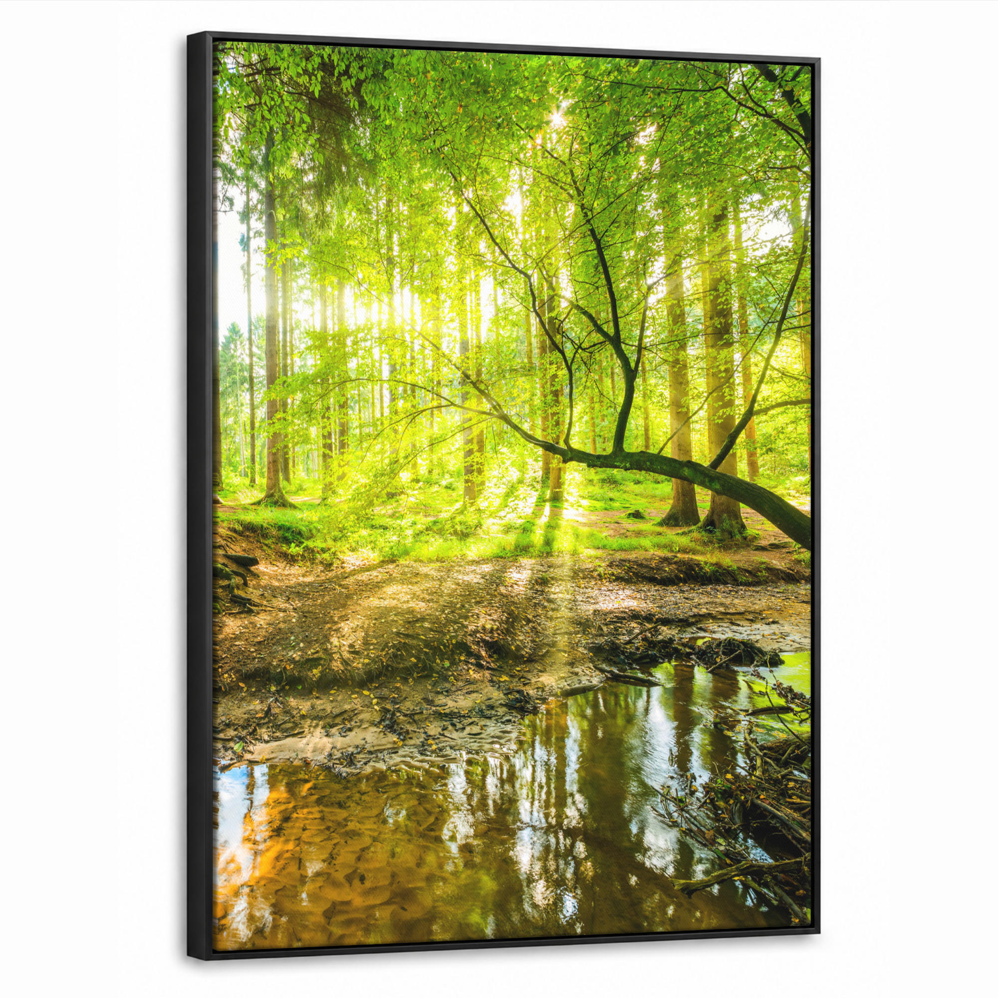 LEINWAND Bilder mit Rahmen - Wald - Landschaft - Wasser - Bäume - Sonne - Grün - Natur - 70x100 - Grün, Textil (70/100cm) - MuchoWow