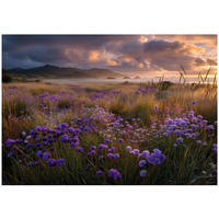 FOTOTAPETE Landschaft Blumen Beige 150x105 cm - Multicolor, Papier (150/105cm) - Wallarena