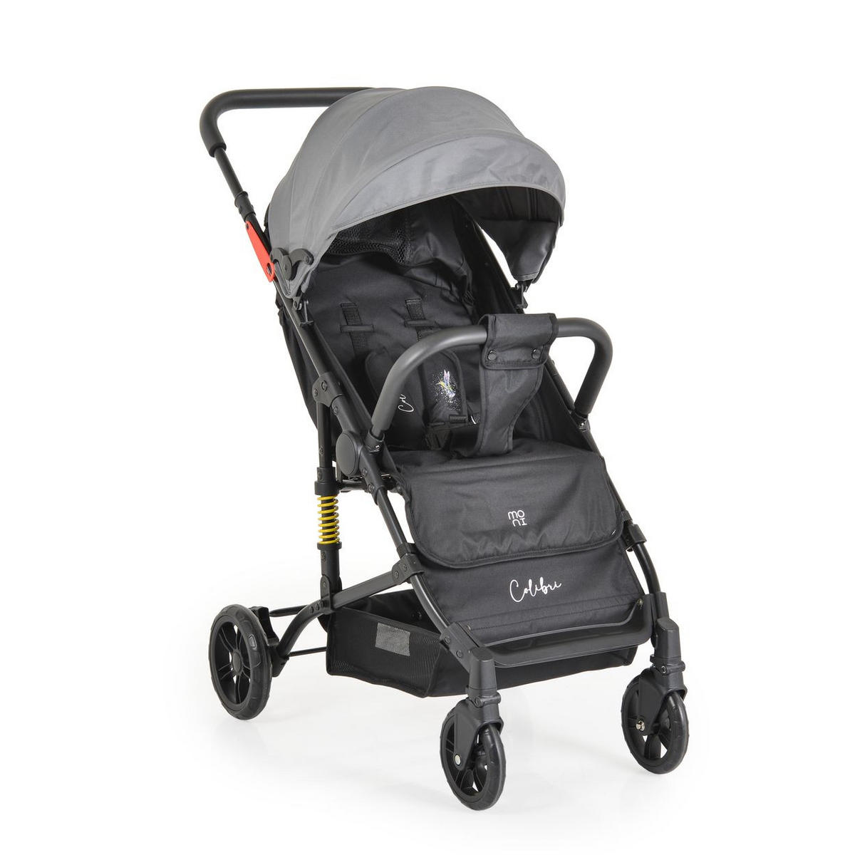 KINDERWAGEN Colibri grau faltbar, verstellbar, 5-Punkt-Gurt, ab 6 Monaten - Grau, Metall (75/51/97cm) - Moni