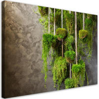 WANDBILD moospflanze botanik - Grün, Textil (60/40cm) - Feeby